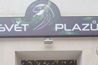 Svět plazů v Hradci má co nabídnout. Nechá si za to ale náležitě zaplatit - Médium.cz